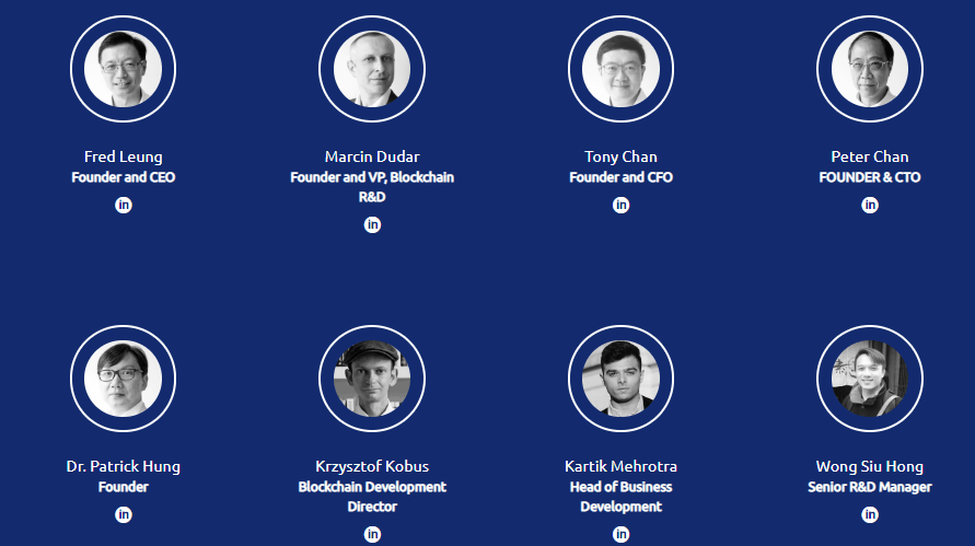 ico review