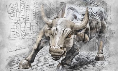 bull stampede