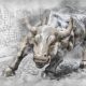 bull stampede