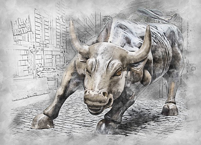 bull stampede
