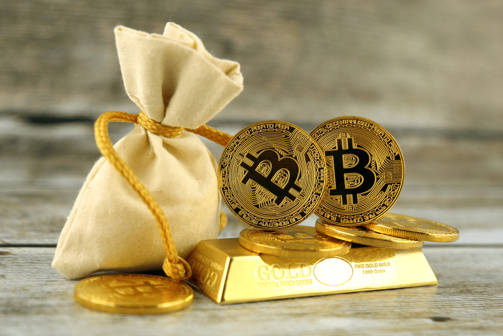 Crypto investor