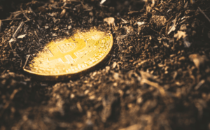 US Taxpayer in Crypto