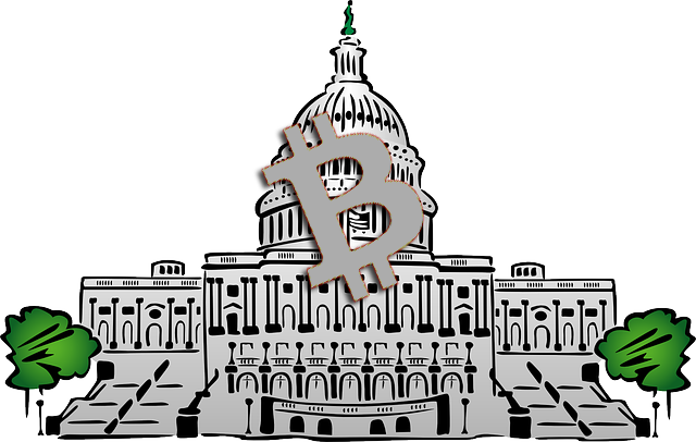 Government Bitcoin