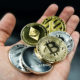 top 5 longterm Alt Coins