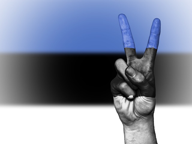 estonia crypto adoption