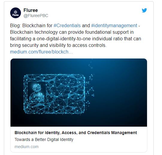 Fluree Announcement