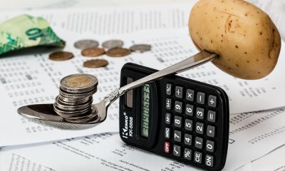 Stable coin future