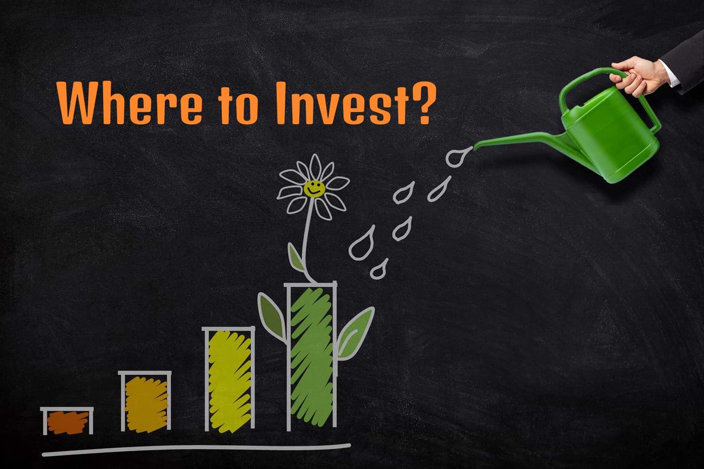 Where to Invest
