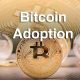 Bitcoin Adoption