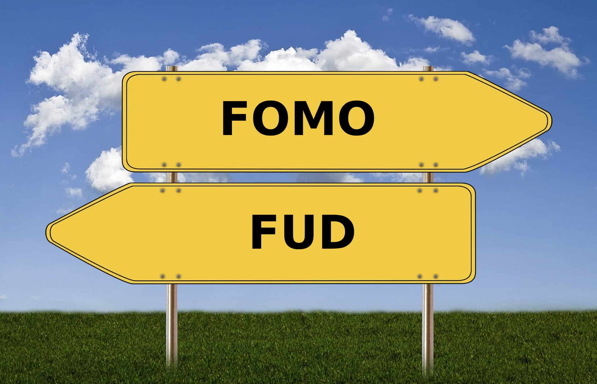 Fomo and FUD