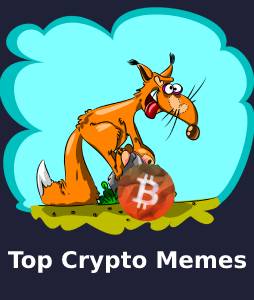 top crypto memes