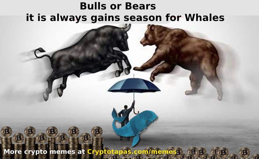 bitcoin whales vs retail investors