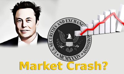 Crypto Market Crash
