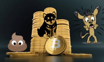 Shiba Cryptocurrency
